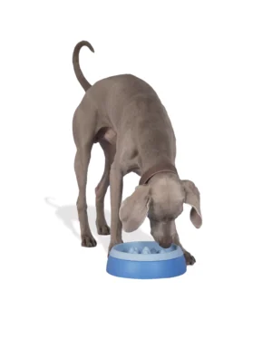 United Pets K2 Dog slow feeder - imagine 3