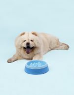 United Pets K2 Dog slow feeder