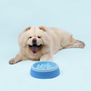 United Pets K2 Dog slow feeder