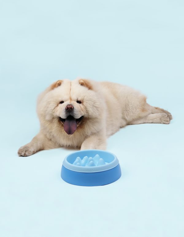 United Pets K2 Dog slow feeder