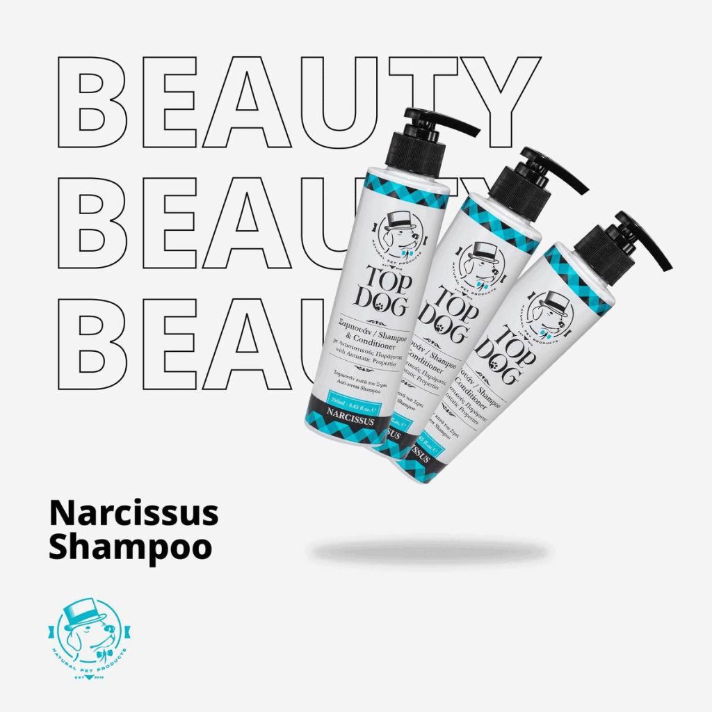 Baia si ingrijirea cainilor cu blana dubla