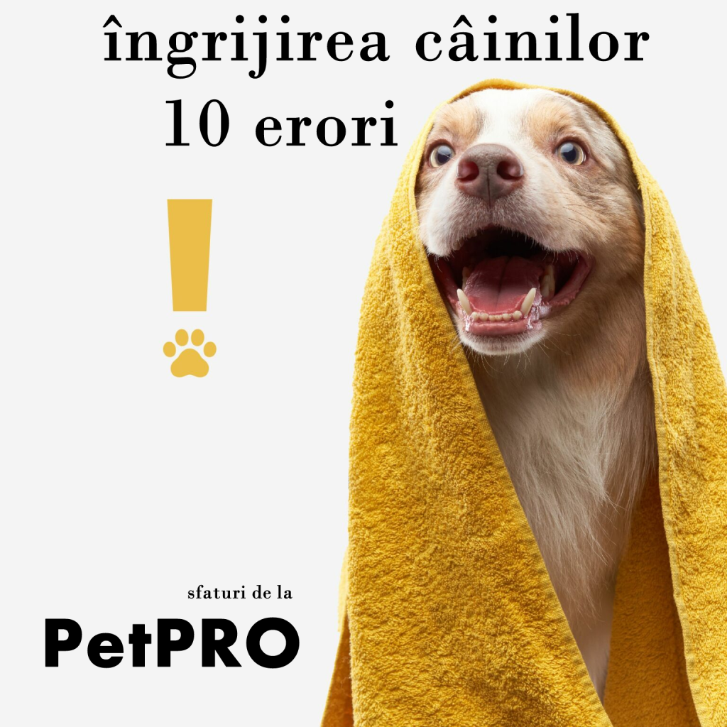 ingrijirea cainilor - 10 erori