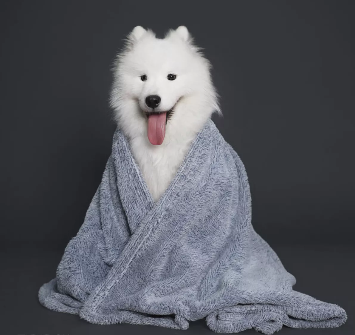 Cum funcționează șampoanele de albire