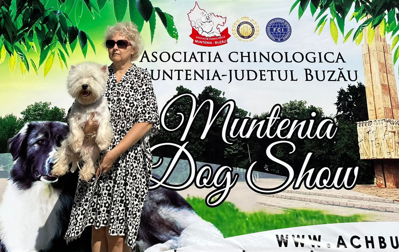 Voivodina Westie Kennel - Muntenia Dog Show, Buzau 2023