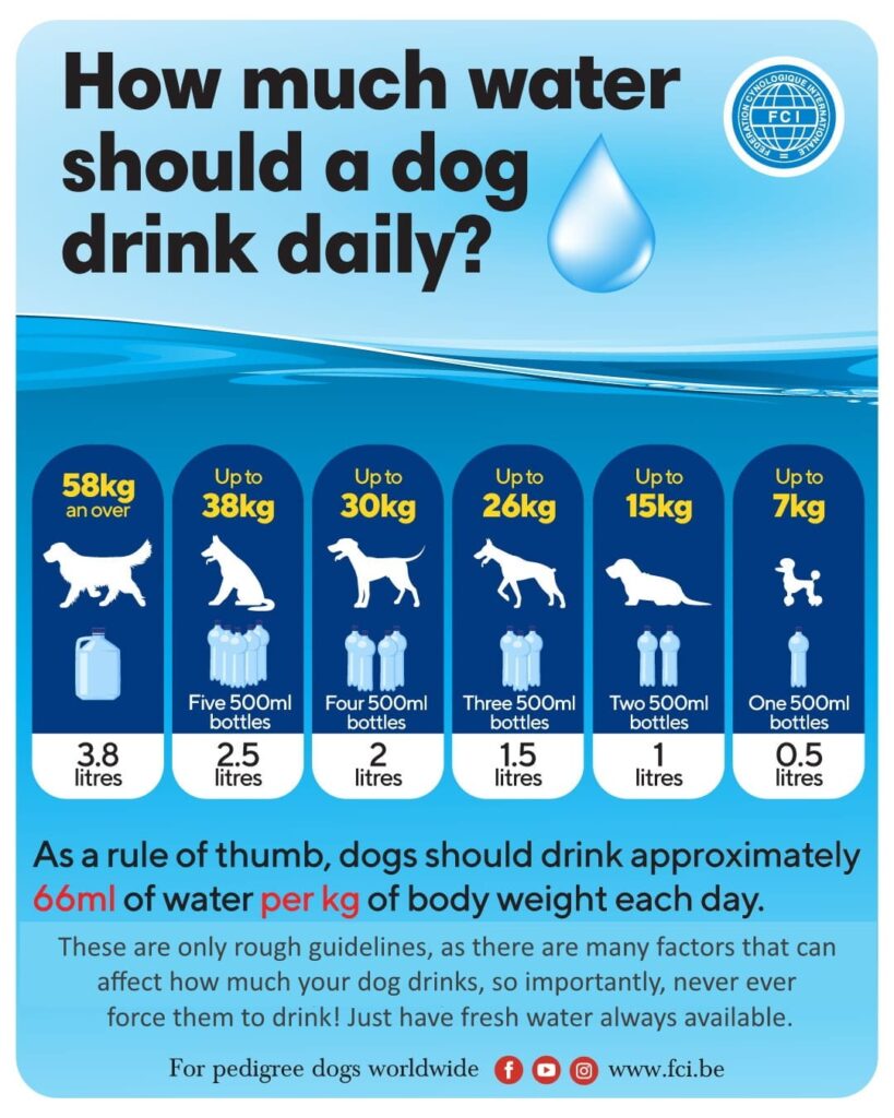 cata 𝐚𝐩a 𝐚𝐫 𝐭𝐫𝐞𝐛𝐮𝐢 𝐬a 𝐛𝐞𝐚 𝐮𝐧 ca𝐢𝐧𝐞 𝐳𝐢𝐥𝐧𝐢𝐜