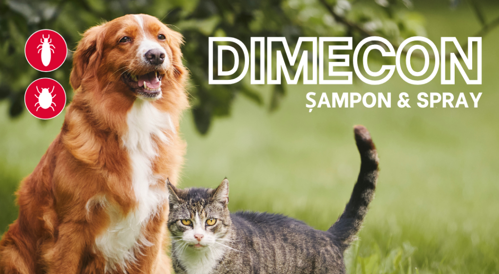 DIMECON - Diamex repelent impotriva puricilor si capuselor