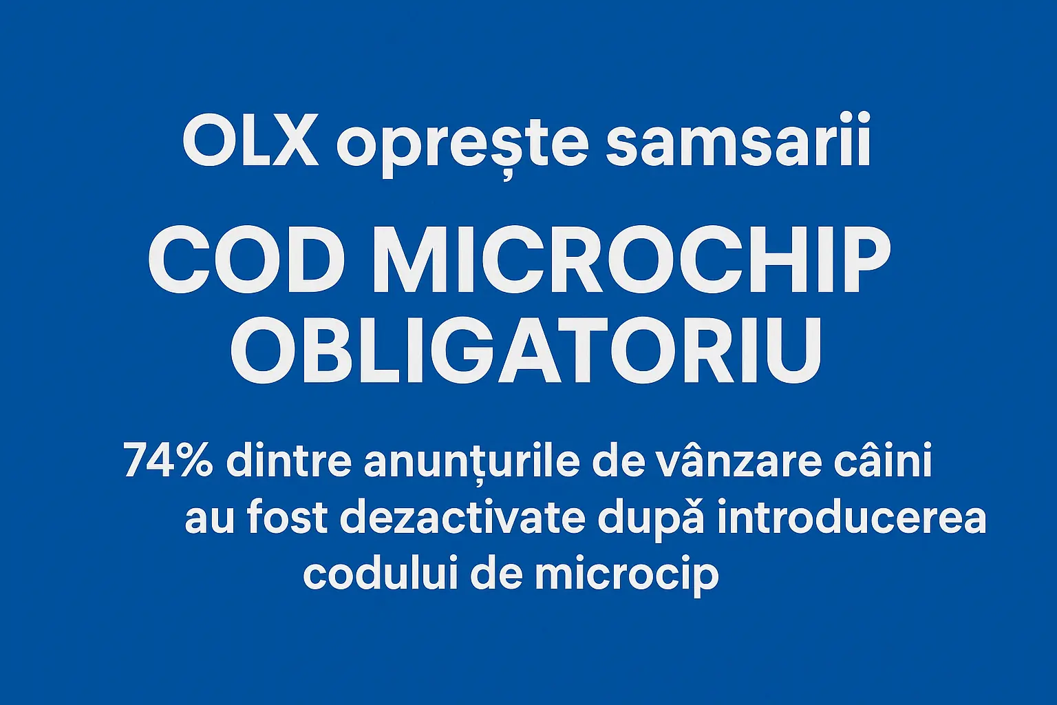 74% dintre anunțurile suspecte de vânzare câini au fost dezactivate