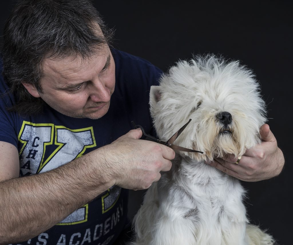 Frizerie Canină Voivodina și Canisa Voivodina – Partener PetPro