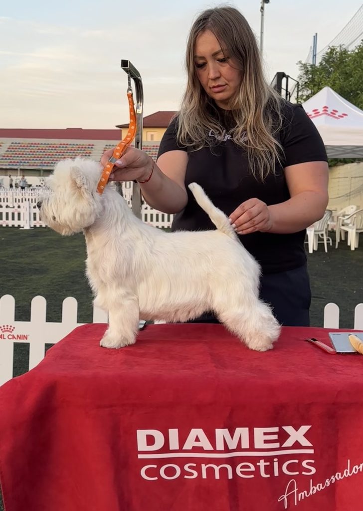 Toaletare Canină Profesională la Happy Westie Bucuresti – Partener PetPro